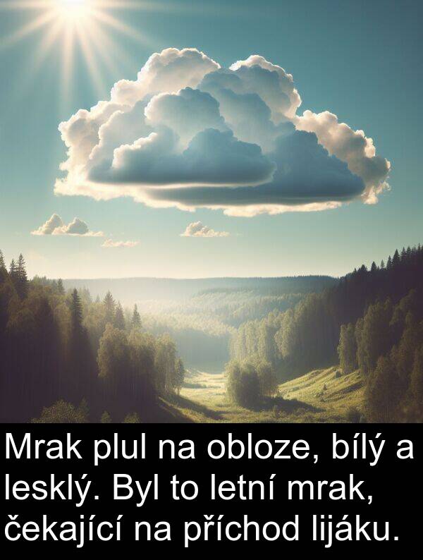 letní: Mrak plul na obloze, bílý a lesklý. Byl to letní mrak, čekající na příchod lijáku.