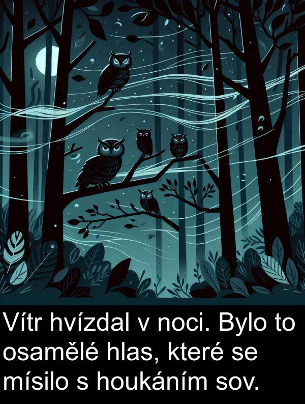 hlas: Vítr hvízdal v noci. Bylo to osamělé hlas, které se mísilo s houkáním sov.