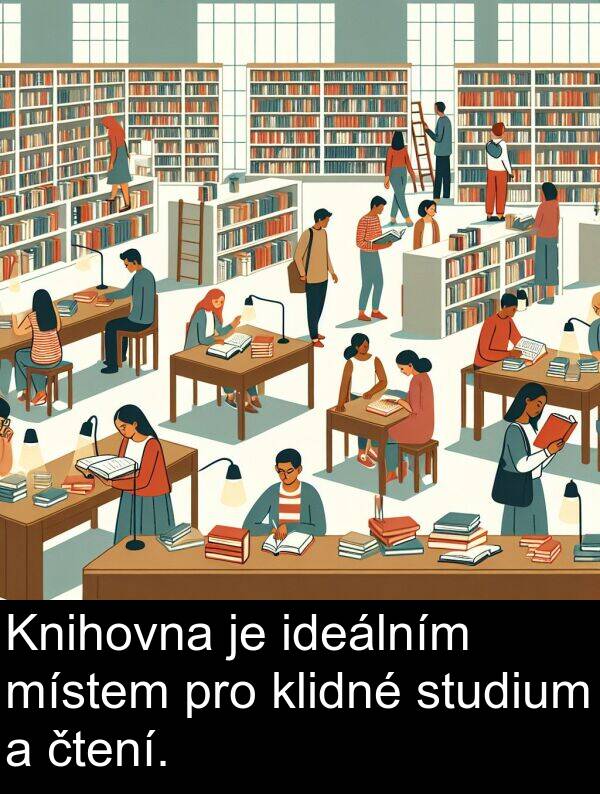 klidné: Knihovna je ideálním místem pro klidné studium a čtení.