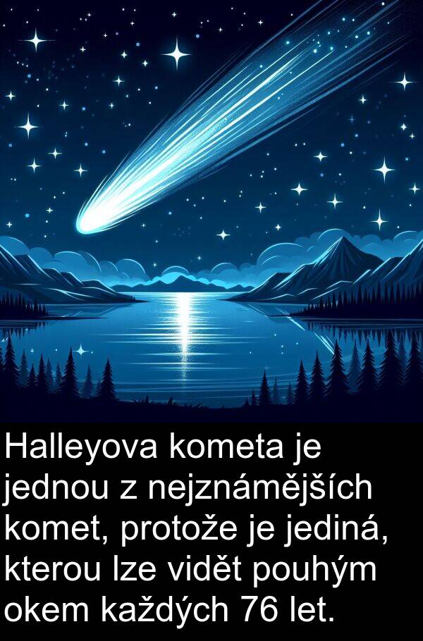 let: Halleyova kometa je jednou z nejznámějších komet, protože je jediná, kterou lze vidět pouhým okem každých 76 let.