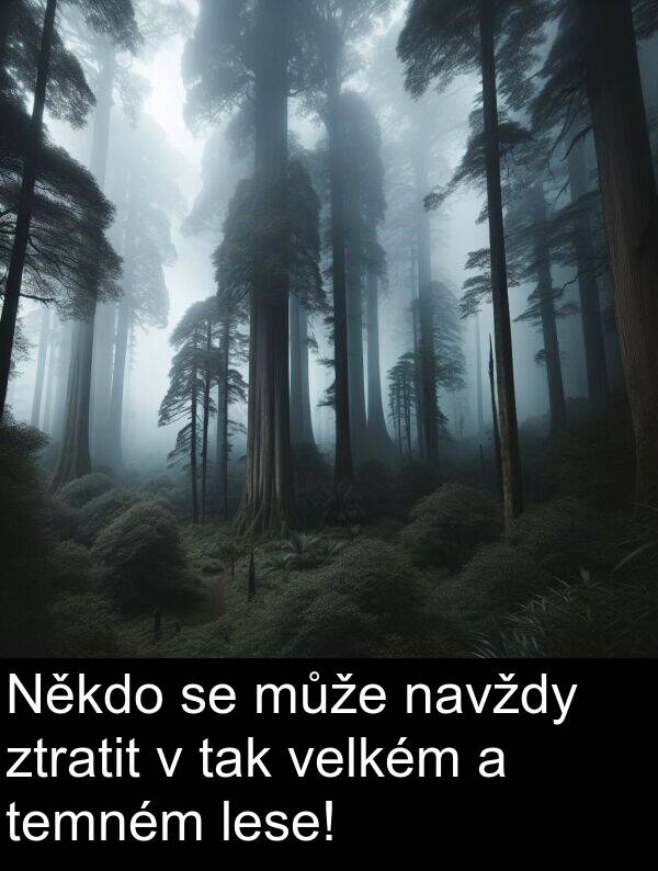 tak: Někdo se může navždy ztratit v tak velkém a temném lese!