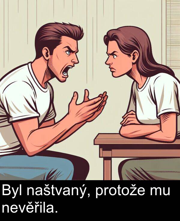 protože: Byl naštvaný, protože mu nevěřila.