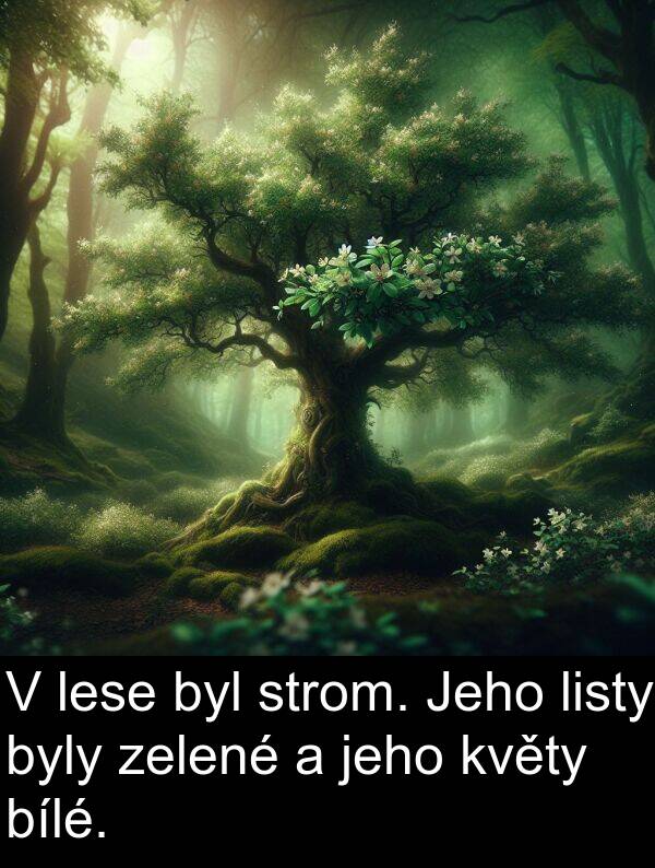 lese: V lese byl strom. Jeho listy byly zelené a jeho květy bílé.