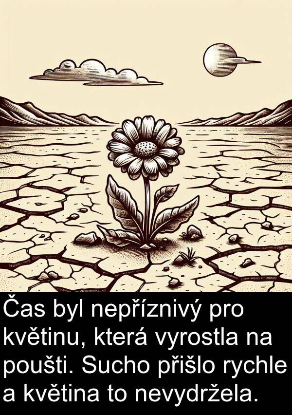 přišlo: Čas byl nepříznivý pro květinu, která vyrostla na poušti. Sucho přišlo rychle a květina to nevydržela.