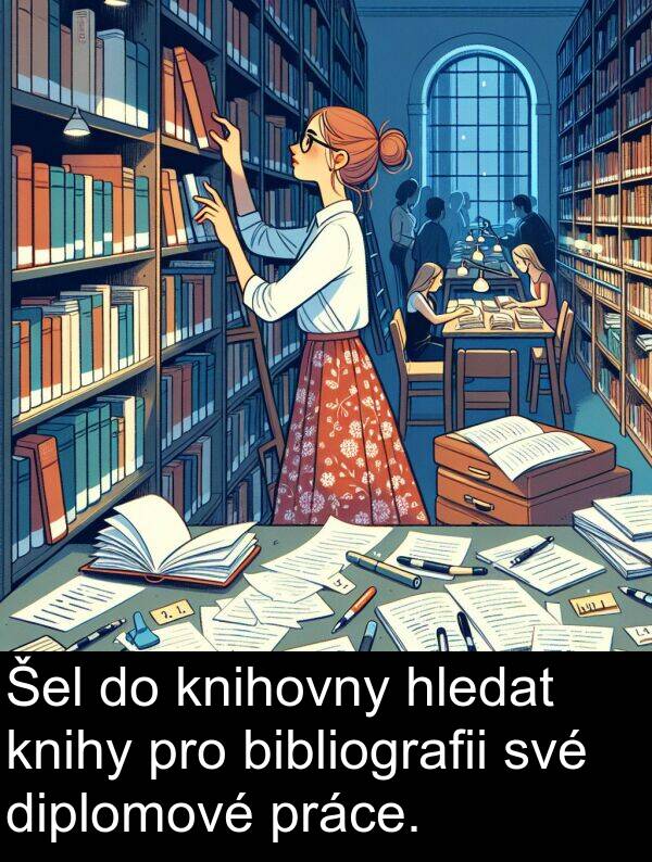 práce: Šel do knihovny hledat knihy pro bibliografii své diplomové práce.