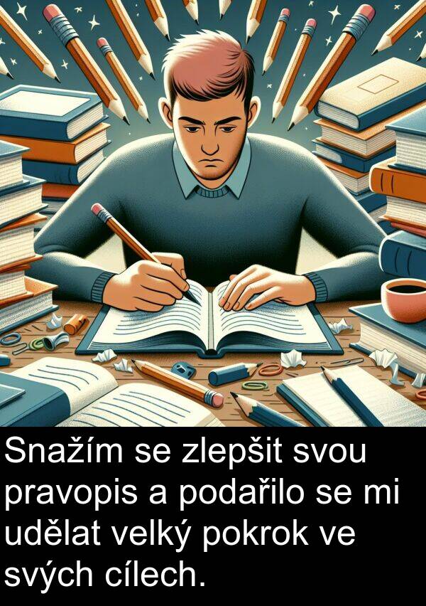 udělat: Snažím se zlepšit svou pravopis a podařilo se mi udělat velký pokrok ve svých cílech.