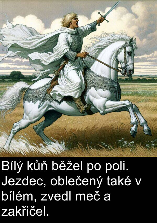 meč: Bílý kůň běžel po poli. Jezdec, oblečený také v bílém, zvedl meč a zakřičel.