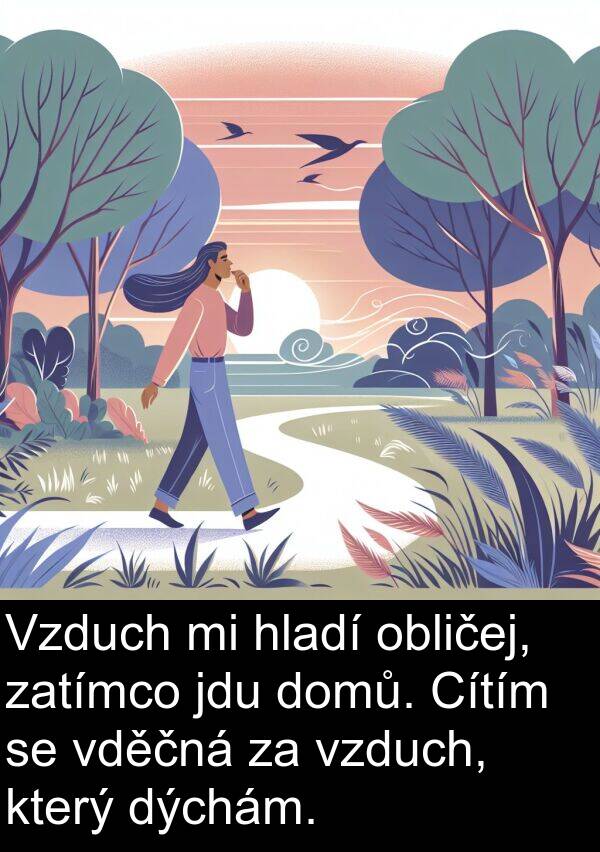 vděčná: Vzduch mi hladí obličej, zatímco jdu domů. Cítím se vděčná za vzduch, který dýchám.