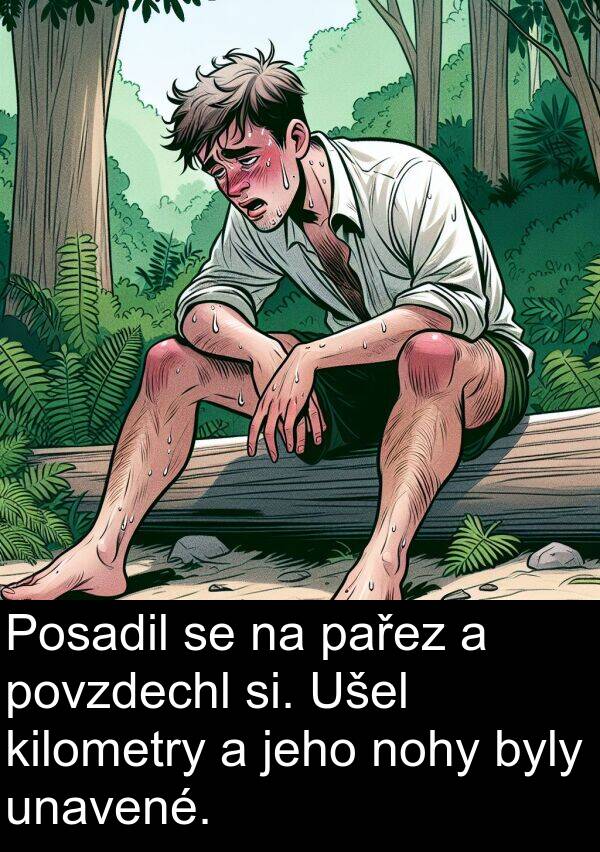 kilometry: Posadil se na pařez a povzdechl si. Ušel kilometry a jeho nohy byly unavené.