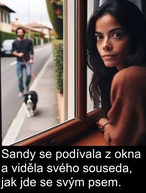 jde: Sandy se podívala z okna a viděla svého souseda, jak jde se svým psem.