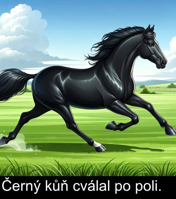 poli: Černý kůň cválal po poli.