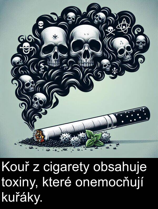 které: Kouř z cigarety obsahuje toxiny, které onemocňují kuřáky.