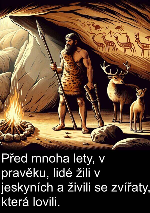 lidé: Před mnoha lety, v pravěku, lidé žili v jeskyních a živili se zvířaty, která lovili.