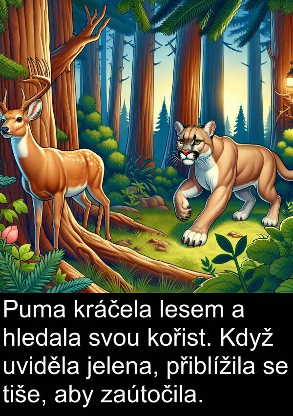 lesem: Puma kráčela lesem a hledala svou kořist. Když uviděla jelena, přiblížila se tiše, aby zaútočila.