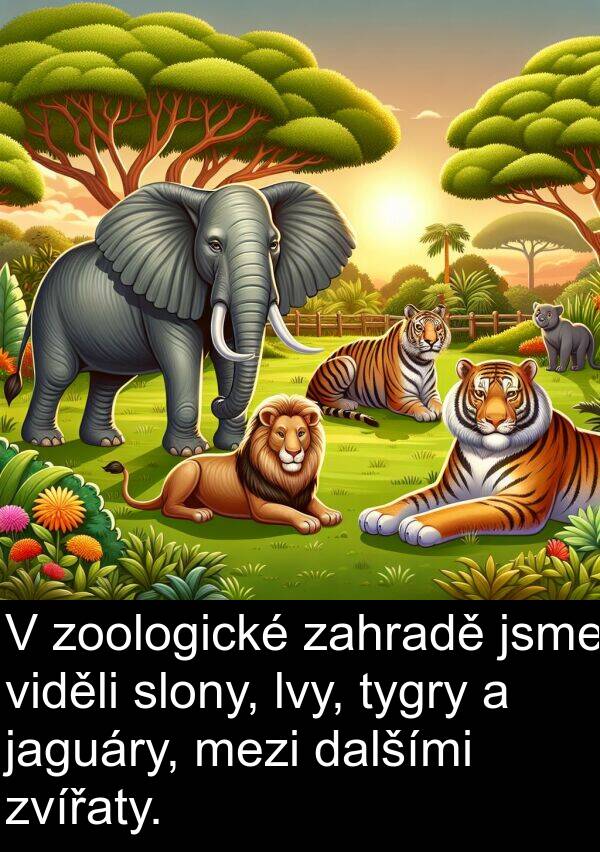 lvy: V zoologické zahradě jsme viděli slony, lvy, tygry a jaguáry, mezi dalšími zvířaty.