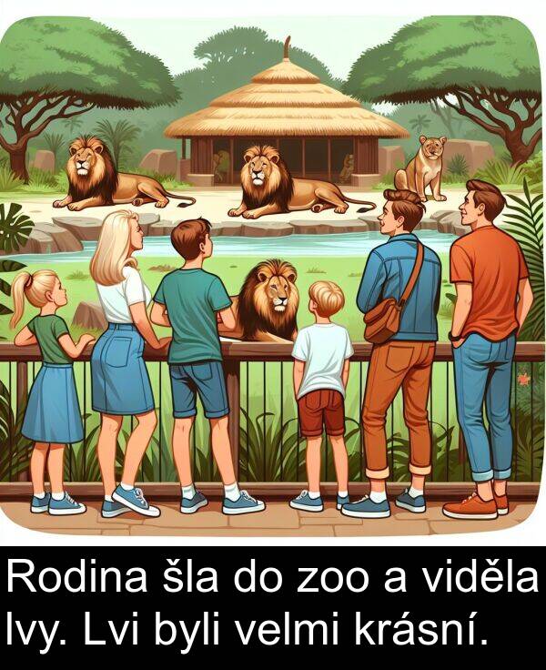 lvy: Rodina šla do zoo a viděla lvy. Lvi byli velmi krásní.