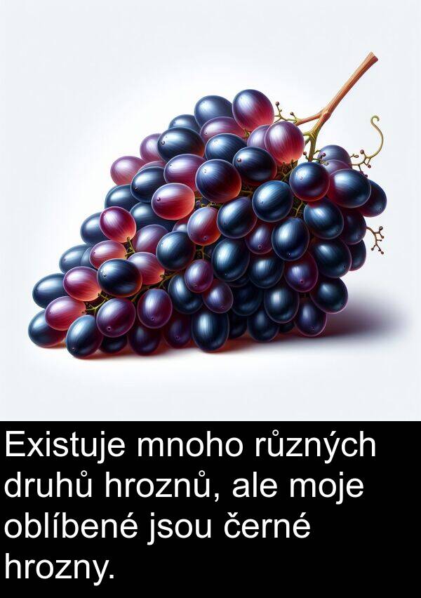 oblíbené: Existuje mnoho různých druhů hroznů, ale moje oblíbené jsou černé hrozny.