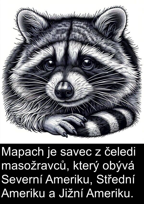masožravců: Mapach je savec z čeledi masožravců, který obývá Severní Ameriku, Střední Ameriku a Jižní Ameriku.