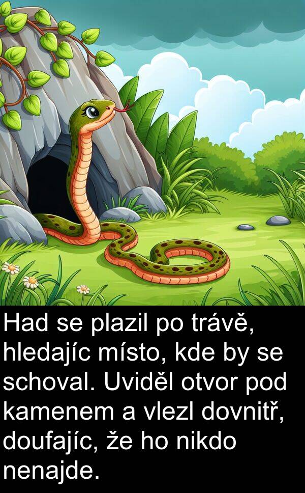 kamenem: Had se plazil po trávě, hledajíc místo, kde by se schoval. Uviděl otvor pod kamenem a vlezl dovnitř, doufajíc, že ho nikdo nenajde.