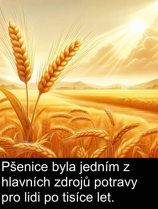 lidi: Pšenice byla jedním z hlavních zdrojů potravy pro lidi po tisíce let.