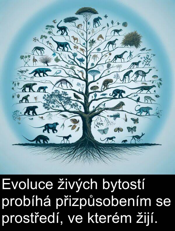 žijí: Evoluce živých bytostí probíhá přizpůsobením se prostředí, ve kterém žijí.