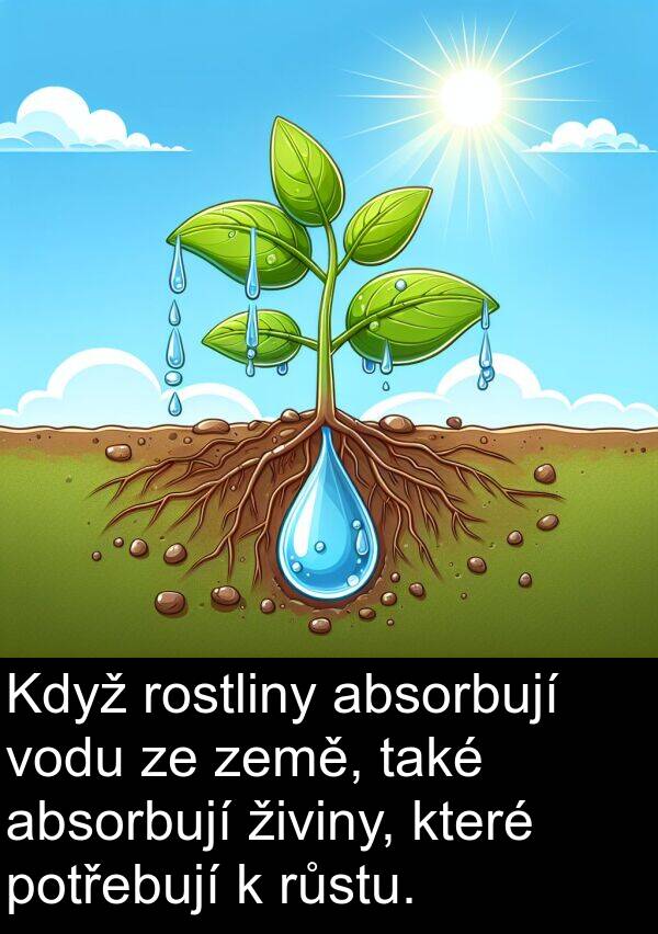 také: Když rostliny absorbují vodu ze země, také absorbují živiny, které potřebují k růstu.