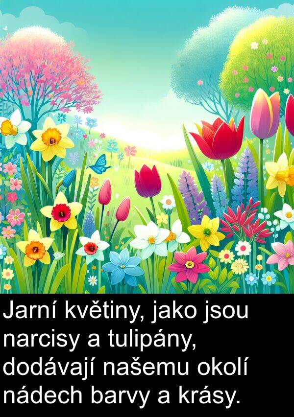 nádech: Jarní květiny, jako jsou narcisy a tulipány, dodávají našemu okolí nádech barvy a krásy.