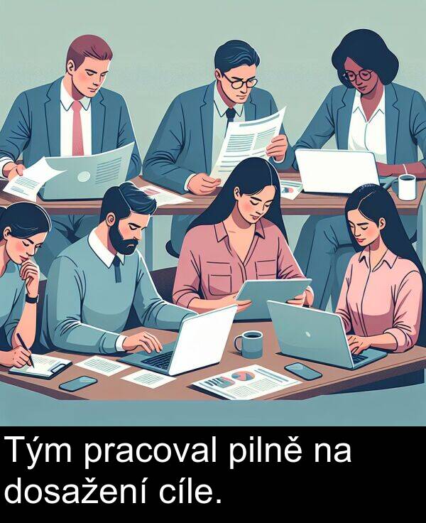 pilně: Tým pracoval pilně na dosažení cíle.