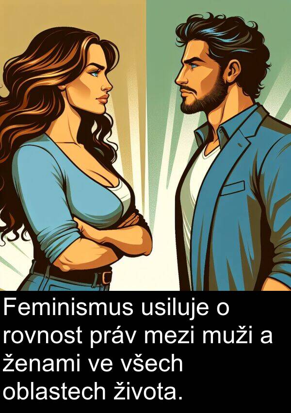 oblastech: Feminismus usiluje o rovnost práv mezi muži a ženami ve všech oblastech života.