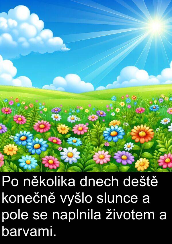 deště: Po několika dnech deště konečně vyšlo slunce a pole se naplnila životem a barvami.