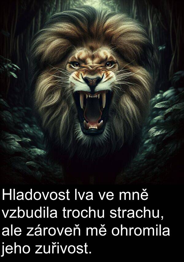 trochu: Hladovost lva ve mně vzbudila trochu strachu, ale zároveň mě ohromila jeho zuřivost.