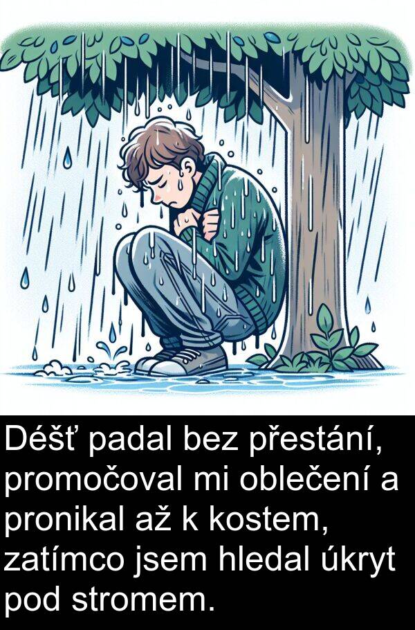 úkryt: Déšť padal bez přestání, promočoval mi oblečení a pronikal až k kostem, zatímco jsem hledal úkryt pod stromem.