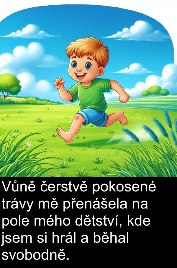 mého: Vůně čerstvě pokosené trávy mě přenášela na pole mého dětství, kde jsem si hrál a běhal svobodně.