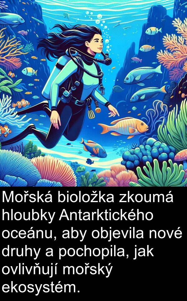 objevila: Mořská bioložka zkoumá hloubky Antarktického oceánu, aby objevila nové druhy a pochopila, jak ovlivňují mořský ekosystém.