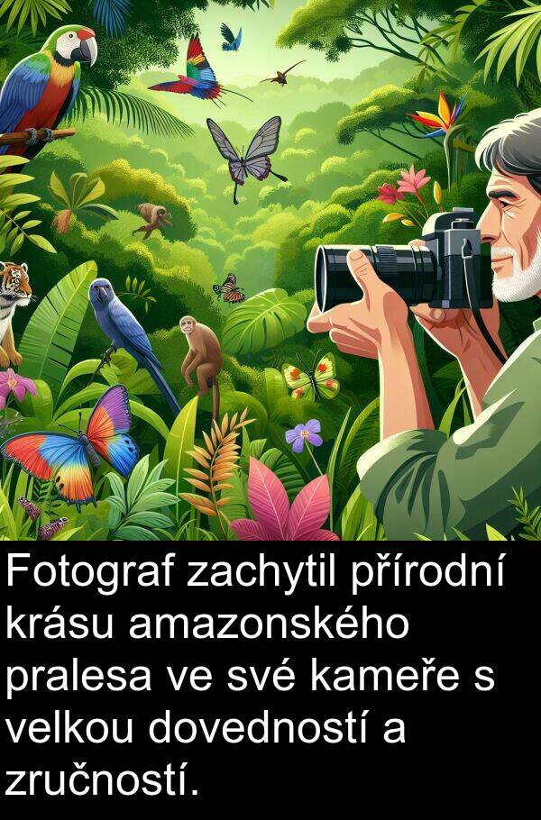 amazonského: Fotograf zachytil přírodní krásu amazonského pralesa ve své kameře s velkou dovedností a zručností.