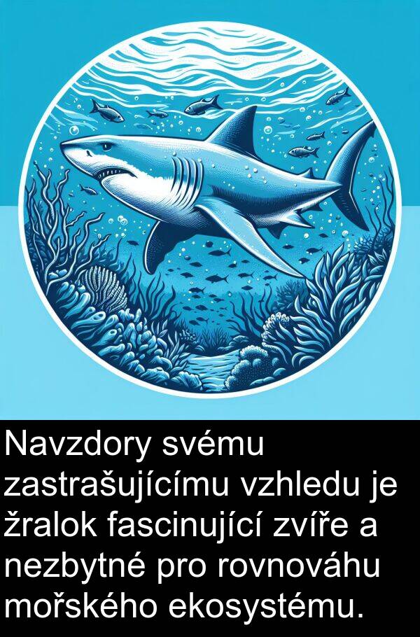 fascinující: Navzdory svému zastrašujícímu vzhledu je žralok fascinující zvíře a nezbytné pro rovnováhu mořského ekosystému.