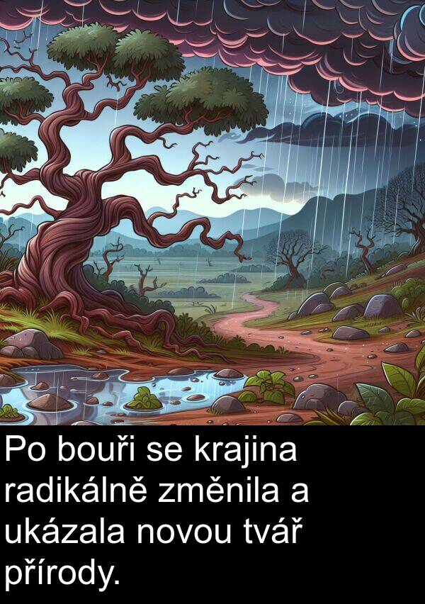 přírody: Po bouři se krajina radikálně změnila a ukázala novou tvář přírody.