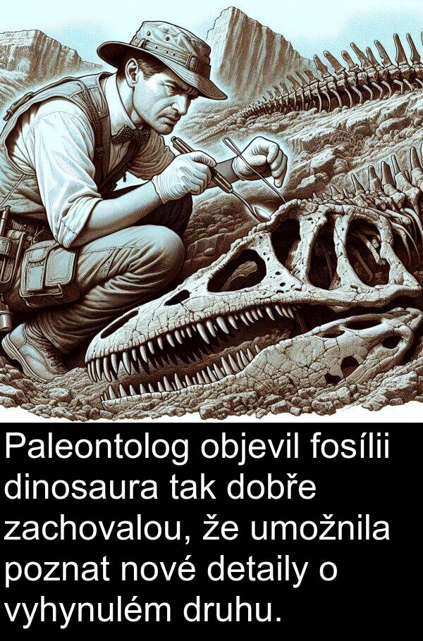 fosílii: Paleontolog objevil fosílii dinosaura tak dobře zachovalou, že umožnila poznat nové detaily o vyhynulém druhu.