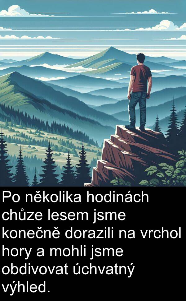 lesem: Po několika hodinách chůze lesem jsme konečně dorazili na vrchol hory a mohli jsme obdivovat úchvatný výhled.