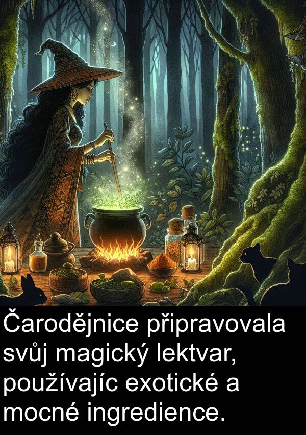 lektvar: Čarodějnice připravovala svůj magický lektvar, používajíc exotické a mocné ingredience.