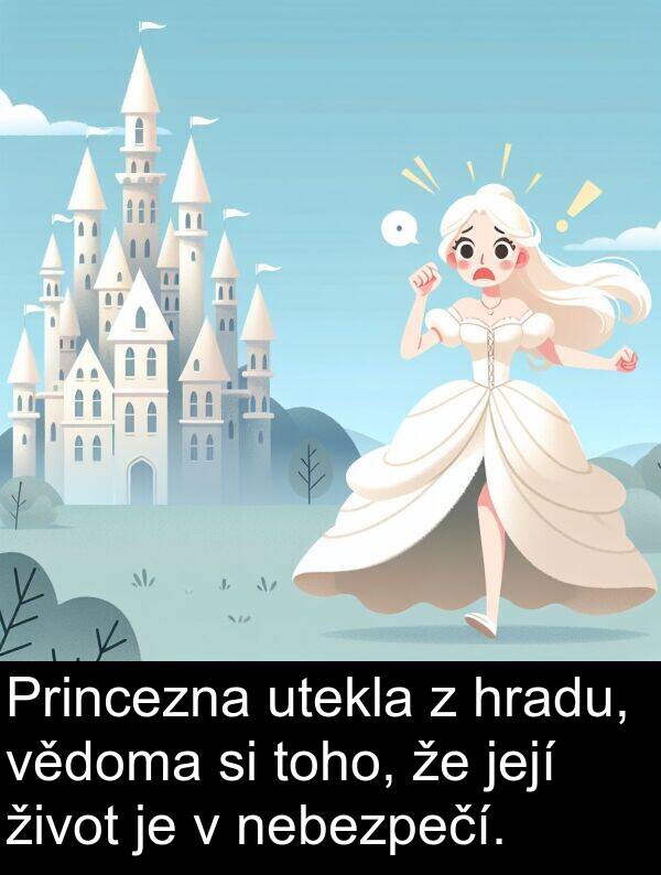 život: Princezna utekla z hradu, vědoma si toho, že její život je v nebezpečí.