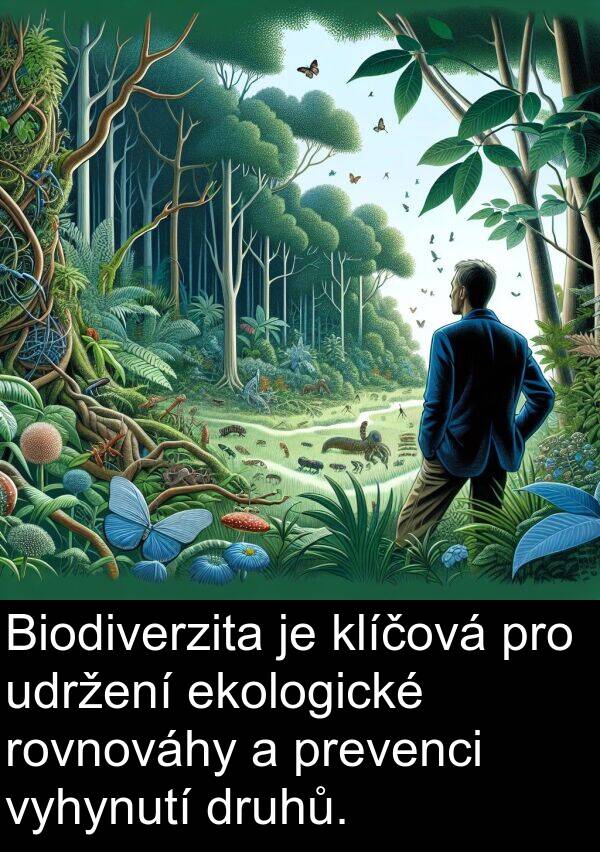 klíčová: Biodiverzita je klíčová pro udržení ekologické rovnováhy a prevenci vyhynutí druhů.