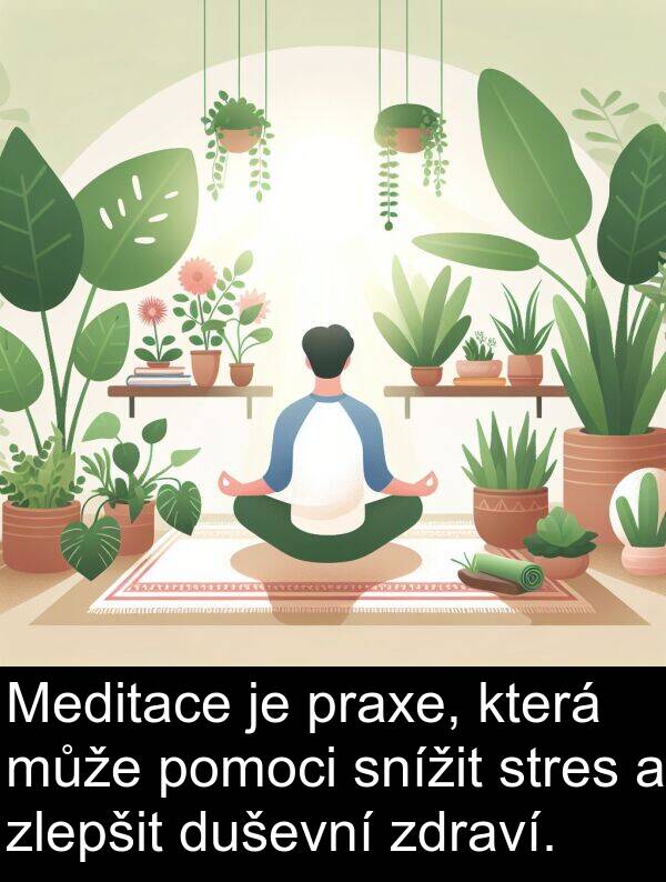 praxe: Meditace je praxe, která může pomoci snížit stres a zlepšit duševní zdraví.