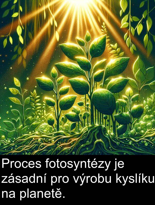 fotosyntézy: Proces fotosyntézy je zásadní pro výrobu kyslíku na planetě.