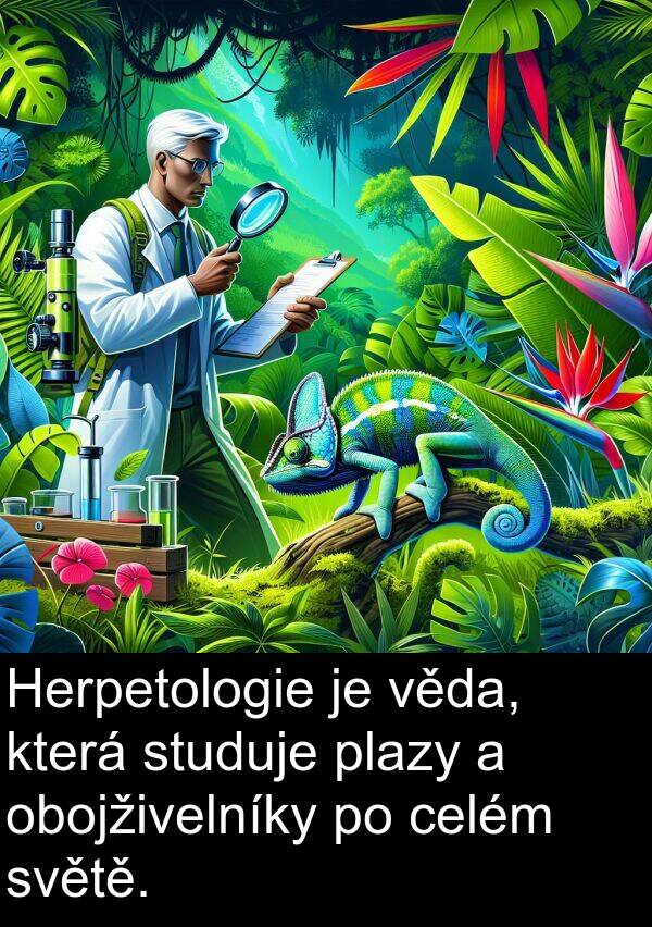 věda: Herpetologie je věda, která studuje plazy a obojživelníky po celém světě.