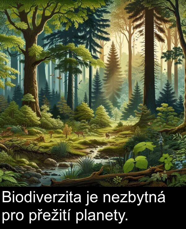 planety: Biodiverzita je nezbytná pro přežití planety.