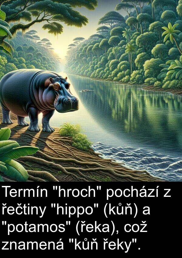 řečtiny: Termín "hroch" pochází z řečtiny "hippo" (kůň) a "potamos" (řeka), což znamená "kůň řeky".