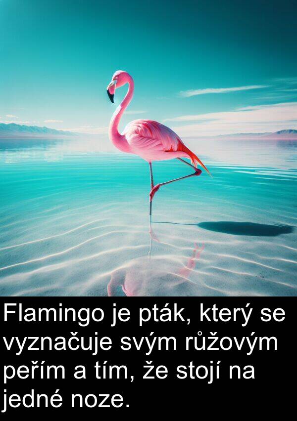 tím: Flamingo je pták, který se vyznačuje svým růžovým peřím a tím, že stojí na jedné noze.