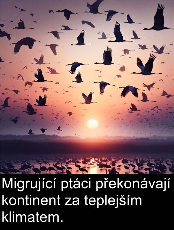klimatem: Migrující ptáci překonávají kontinent za teplejším klimatem.