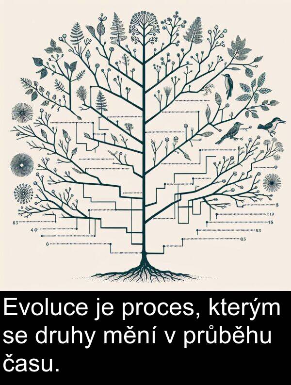 mění: Evoluce je proces, kterým se druhy mění v průběhu času.